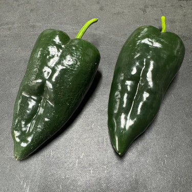Poblano - Seeds - The Pepper Pantry (Formerly Marie Sharp's)